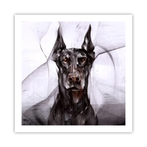 Poster - Edelgeboren - 60x60 cm