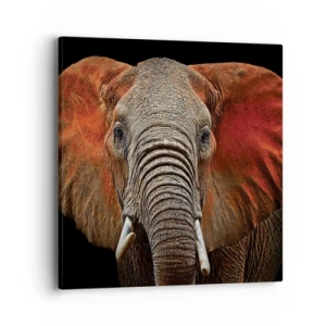 Bild auf Leinwand - Leinwandbild - Ich bin wild und du? - 40x40 cm