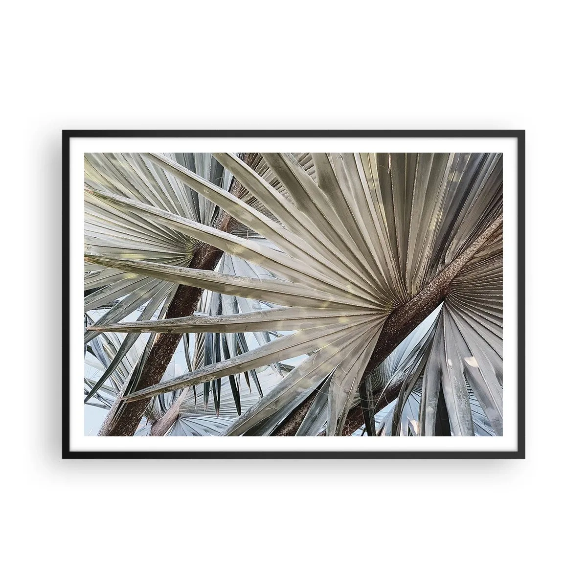 Poster in einem schwarzem Rahmen - Nahaufnahme von Palmblättern in natürlichen Grüntönen - 100x70cm - Fans in den Tropen - Moderne Wanddekoration für Wohnzimmer und Schlafzimmer ARTTOR