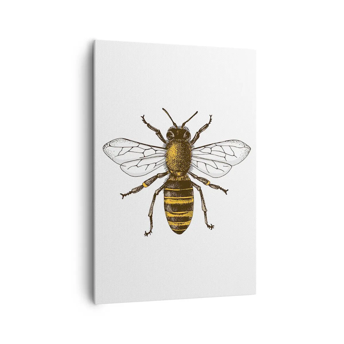 Bild auf Leinwand - Leinwandbild - Detaillierte Darstellung einer Biene auf weißem Hintergrund - 70x100cm - Schön und gut - Moderne Wanddekoration für Wohnzimmer und Schlafzimmer ARTTOR
