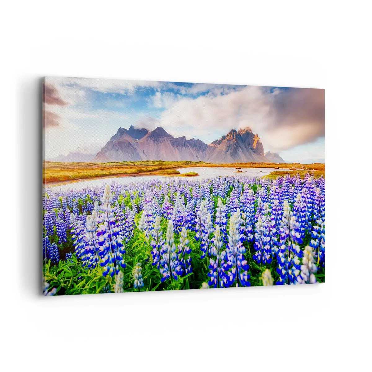 Bild auf Leinwand - Leinwandbild - Blumen in einer Berglandschaft mit malerischem Himmel - 120x80cm - Kraft und Strenge neben Sanftmut - Moderne Wanddekoration für Wohnzimmer und Schlafzimmer ARTTOR