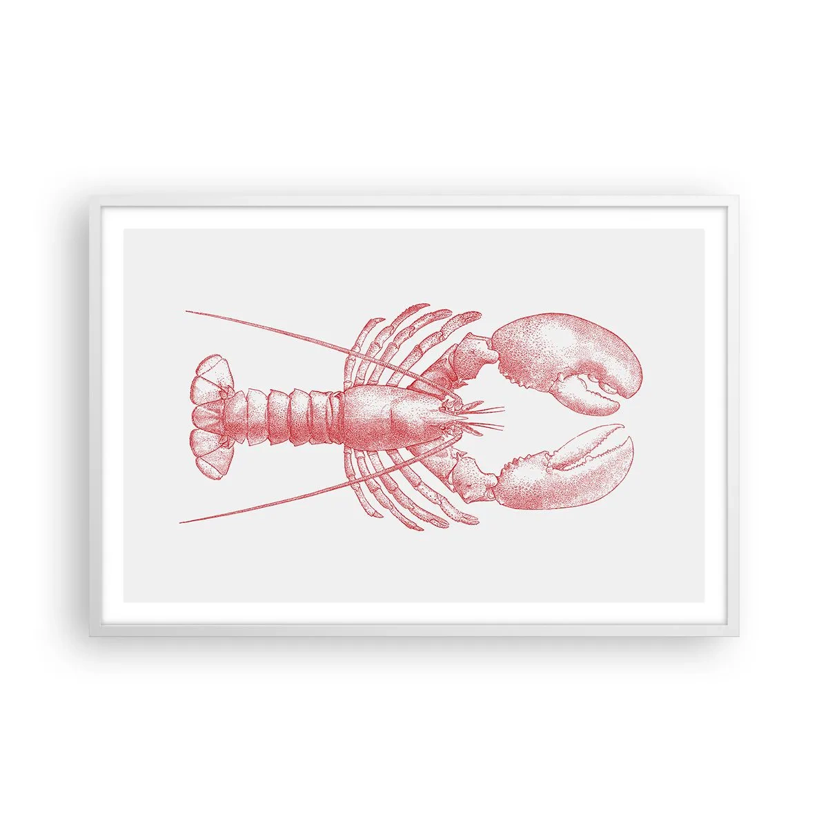 Poster in einem weißen Rahmen - Hummer, der Homers würdig ist - 91x61 cm