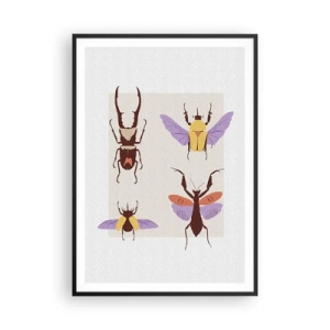 Poster in einem schwarzem Rahmen - Insektenwelt - 70x100 cm
