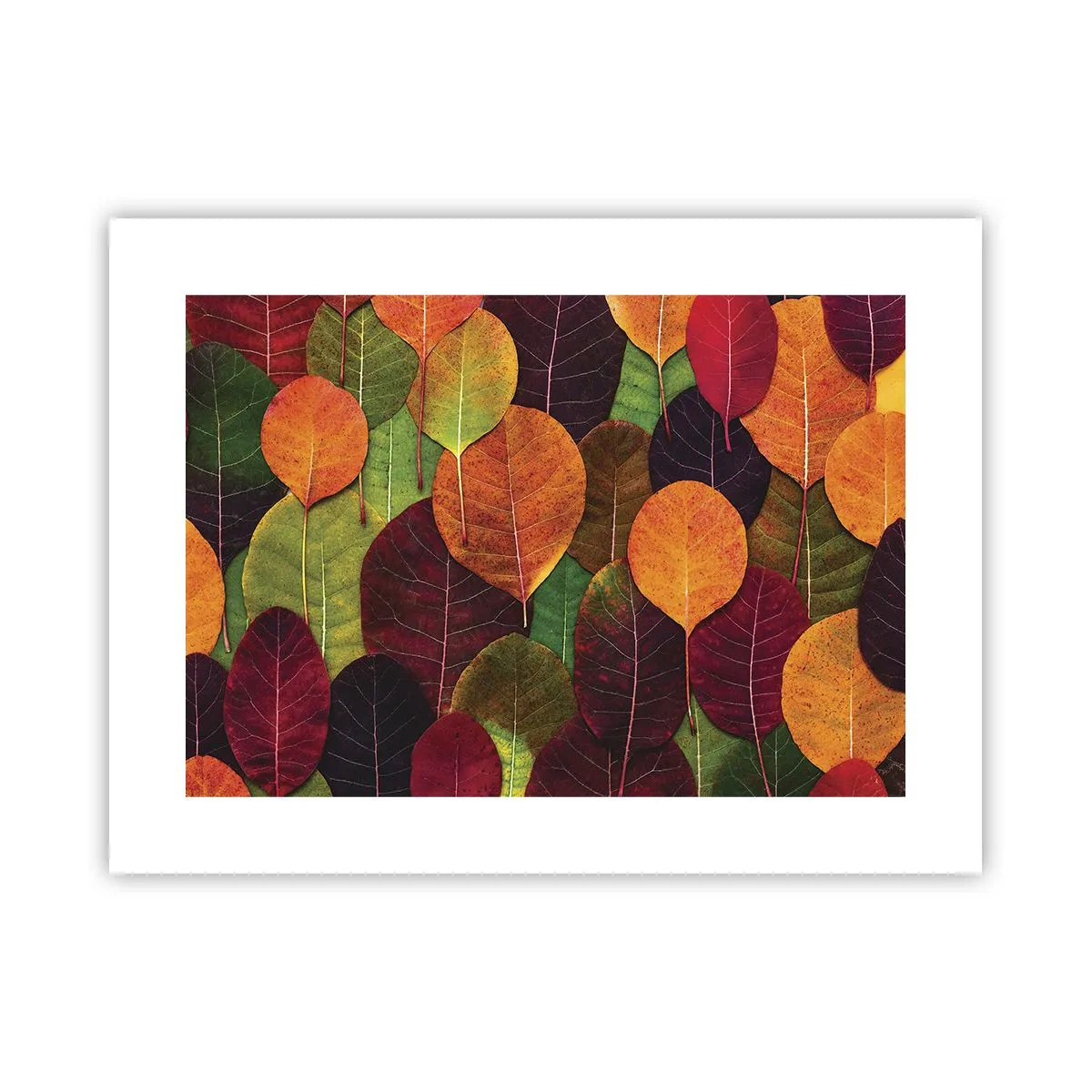 Poster - Herbstmosaik - 40x30 cm