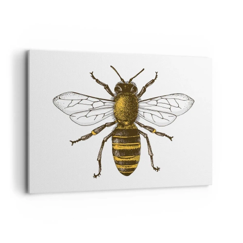 Bild auf Leinwand - Leinwandbild - Detaillierte Darstellung einer Biene auf weißem Hintergrund - 100x70cm - Schön und gut - Moderne Wanddekoration für Wohnzimmer und Schlafzimmer ARTTOR