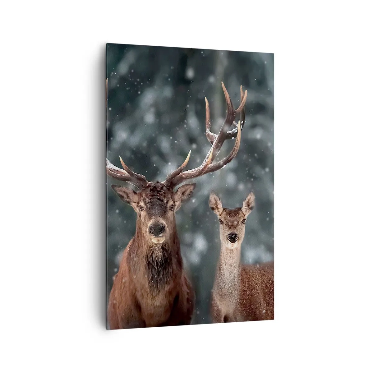 Bild auf Leinwand - Leinwandbild - Hirsche im verschneiten Winterwald - 80x120cm - Herr des Waldes mit seiner Frau - Moderne Wanddekoration für Wohnzimmer und Schlafzimmer ARTTOR