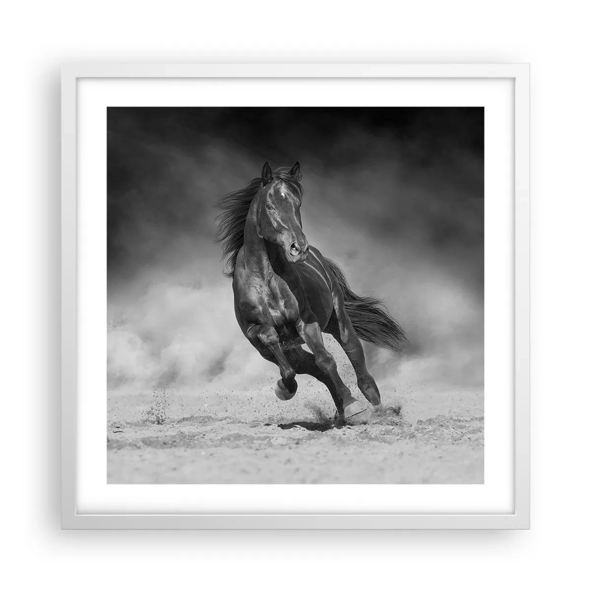 Poster in einem weißen Rahmen - Würdig des Emirs selbst - 50x50 cm