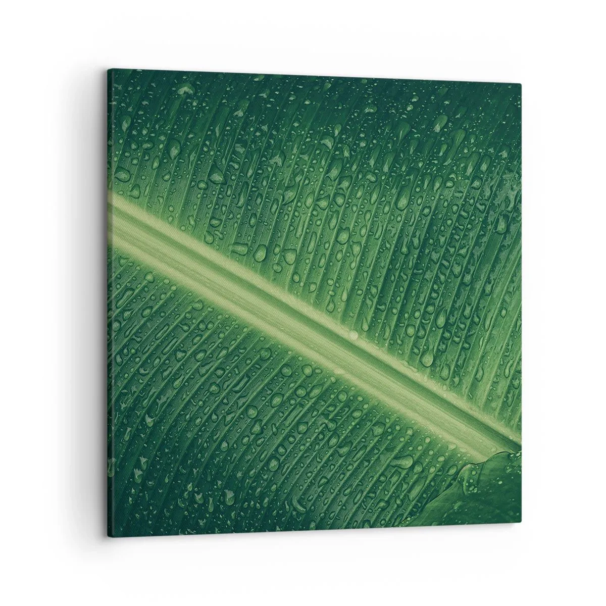 Bild auf Leinwand - Leinwandbild - Die Struktur des Grüns - 50x50 cm