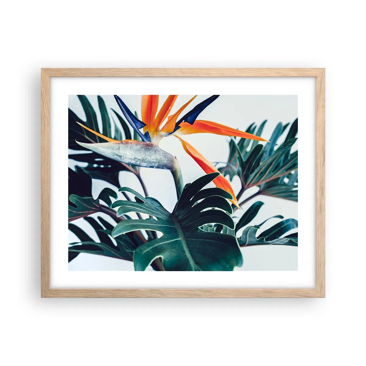 Poster in einem Rahmen aus heller Eiche - Vogelbusch - 50x40 cm