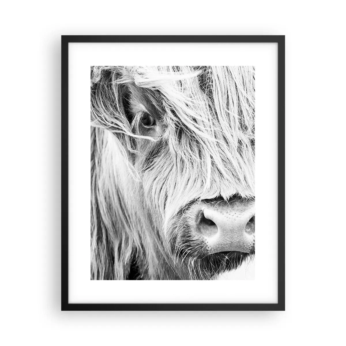 Poster in einem schwarzem Rahmen - Schottische Wildheit - 40x50 cm
