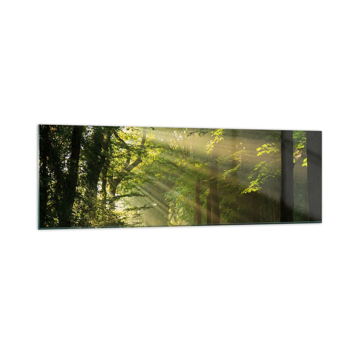 Glasbild - Bild auf glas - Waldweg mit Sonnenstrahlen, die durch die Bäume scheinen - 160x50cm - Waldmoment - Moderne Wanddekoration für Wohnzimmer und Schlafzimmer ARTTOR