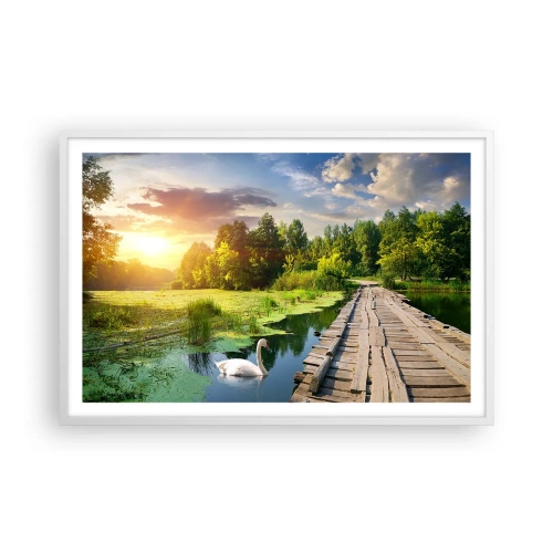 Poster in einem weißen Rahmen - Sommer, Sommer überall - 91x61 cm