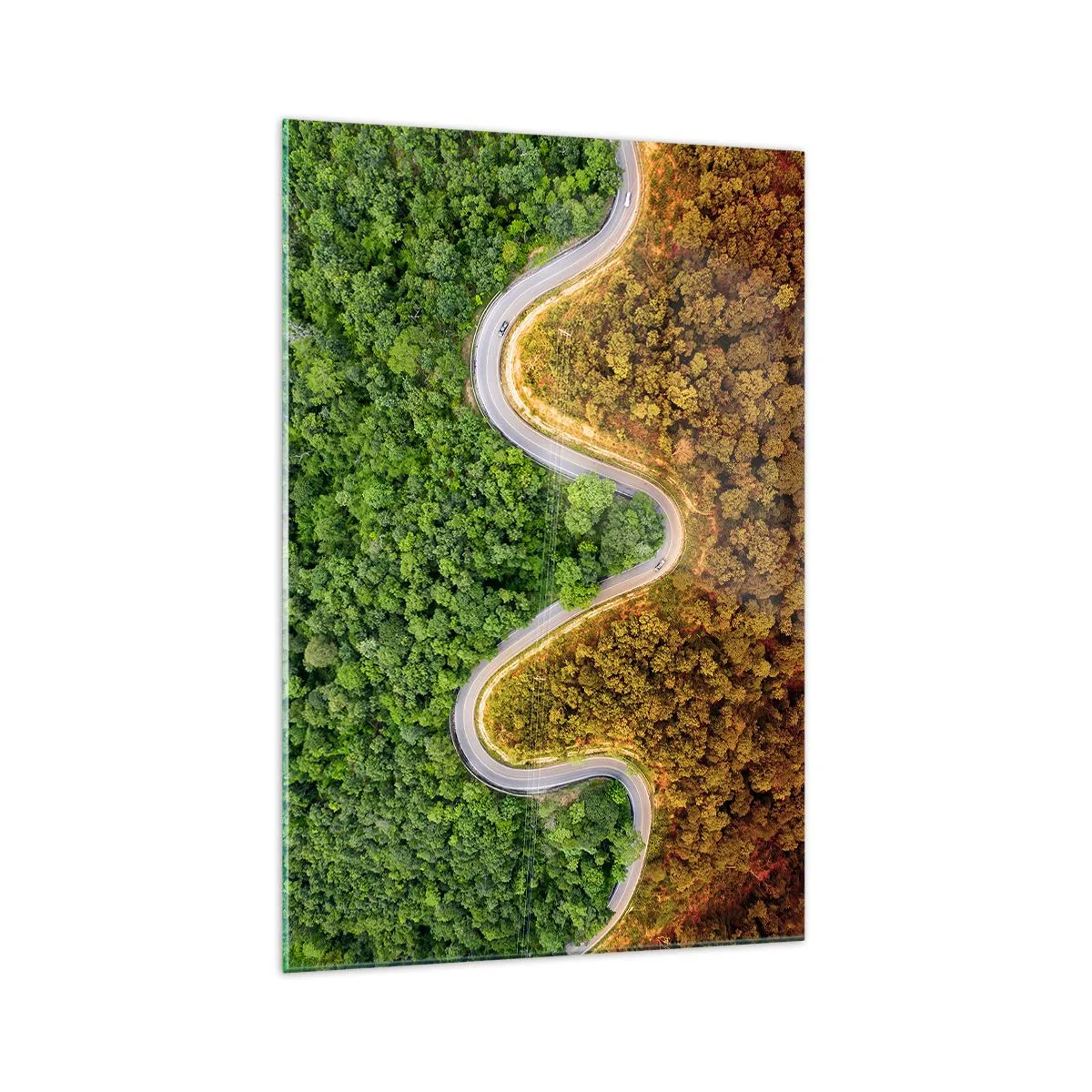 Glasbild - Bild auf glas - Eine kurvenreiche Straße durch den Wald aus der Vogelperspektive gesehen - 70x100cm - Grenzen und Durchbrüche - Moderne Wanddekoration für Wohnzimmer und Schlafzimmer ARTTOR
