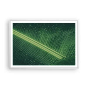 Poster in einem weißen Rahmen - Die Struktur des Grüns - 100x70 cm