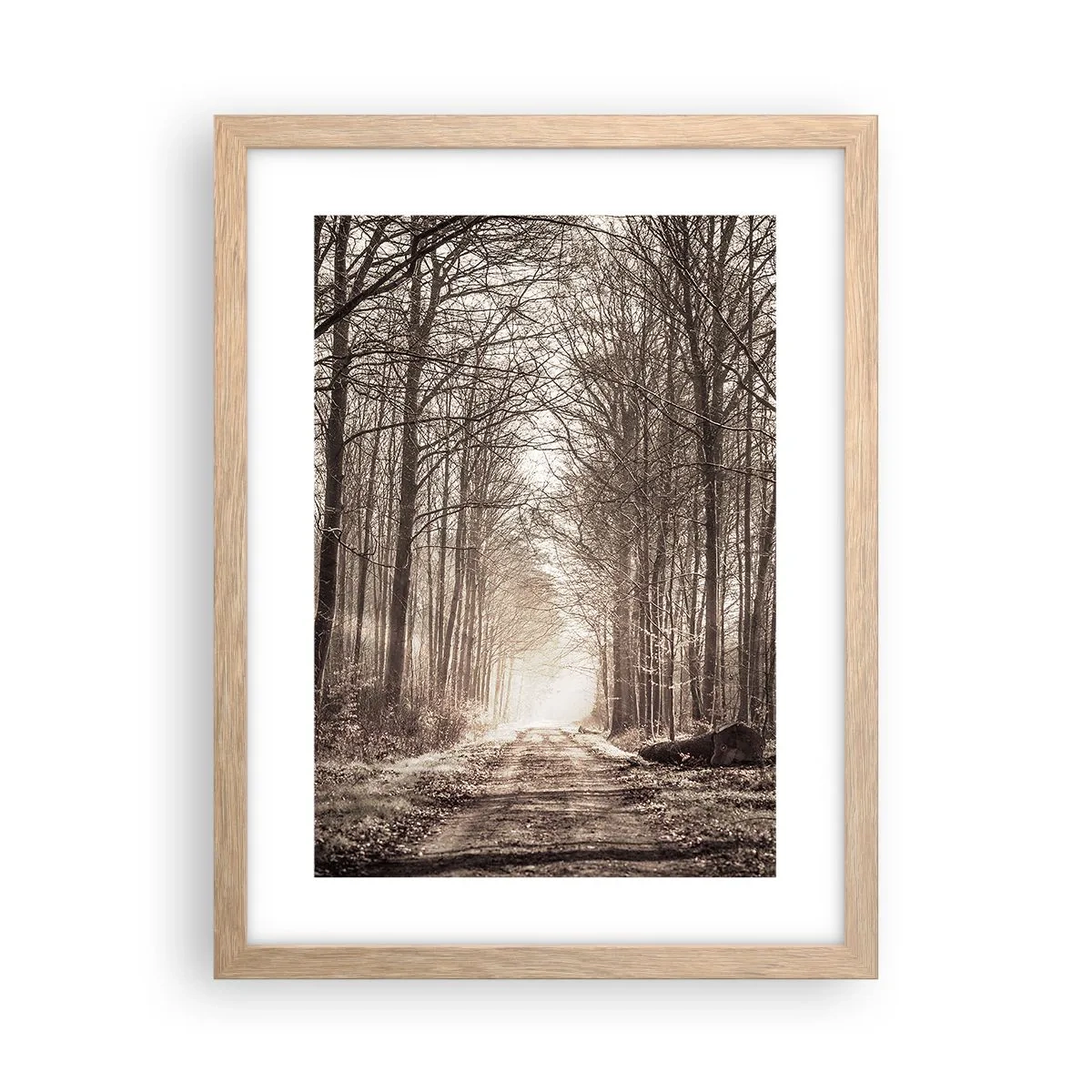 Poster in einem Rahmen aus heller Eiche - Waldkathedrale - 30x40 cm