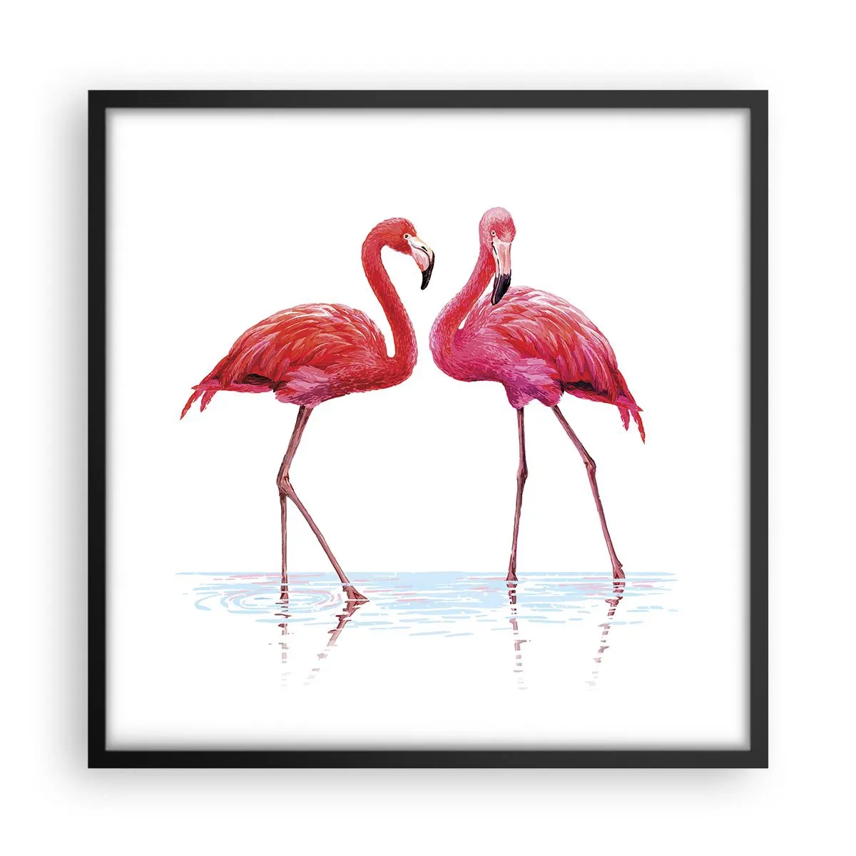 Poster in einem schwarzem Rahmen - Rosa randez-vous - 50x50 cm