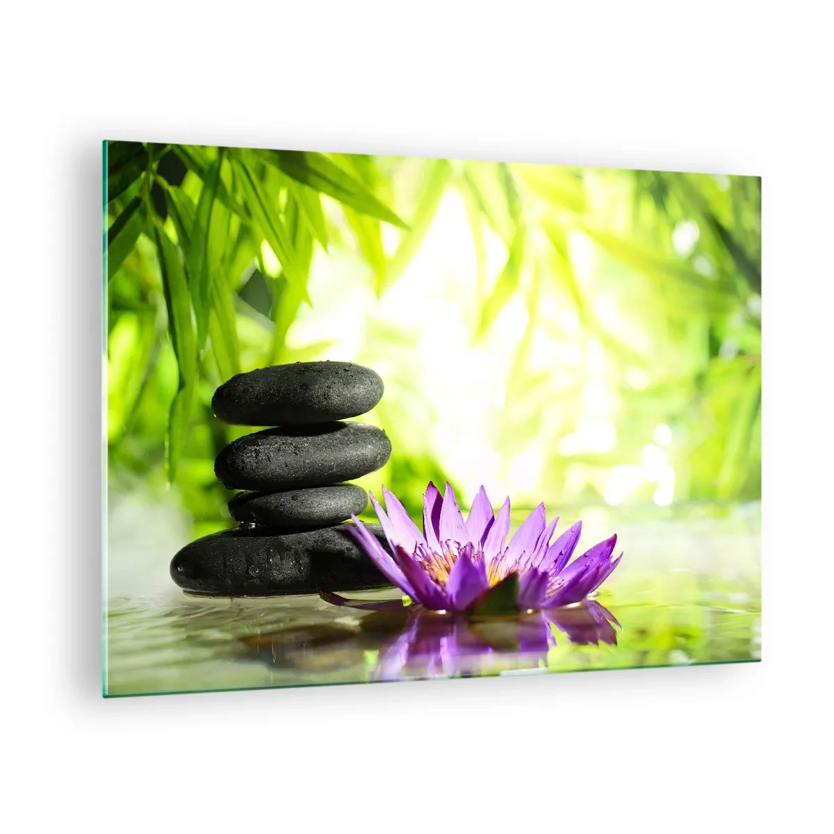 Glasbild - Bild auf glas - Lila Lotusblüte mit Zen-Steinen auf grünem Hintergrund - 70x50cm - In einem Bambusbusch - Moderne Wanddekoration für Wohnzimmer und Schlafzimmer ARTTOR