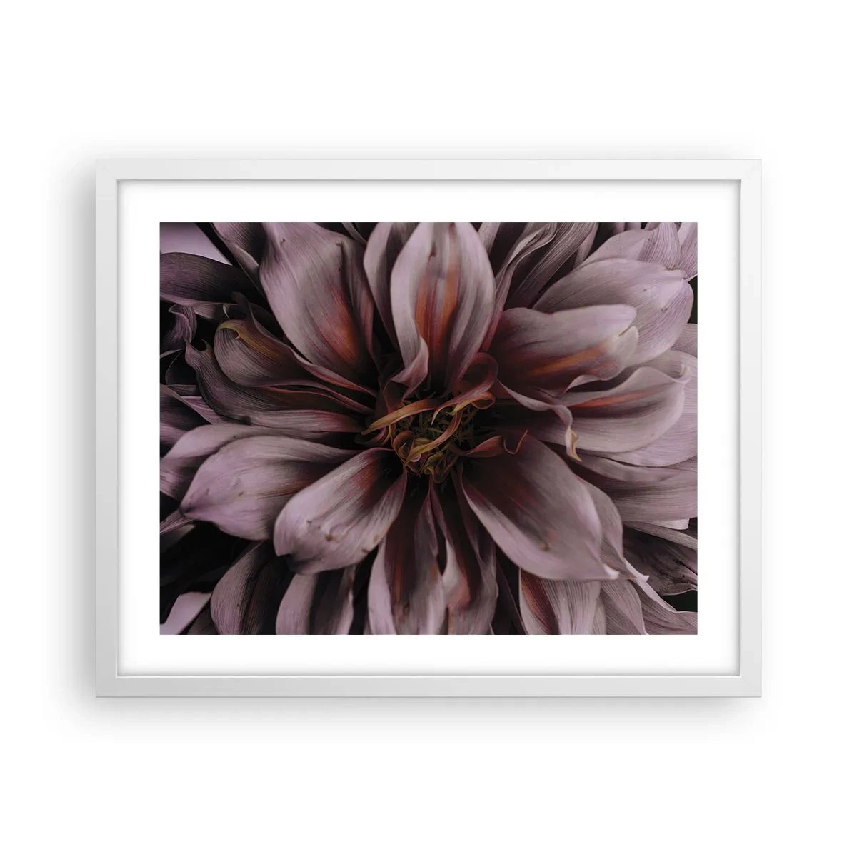 Poster in einem weißen Rahmen - Ein Blumenherz - 50x40 cm