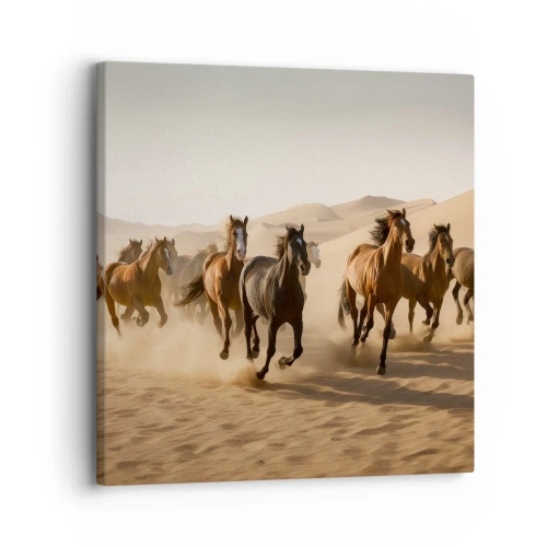 Bild auf Leinwand - Leinwandbild - Frei wie der Wind - 30x30 cm