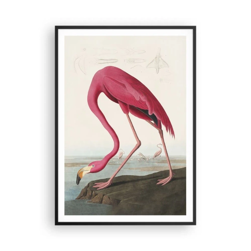 Poster in einem schwarzem Rahmen - Erstaunliche Kreation - 70x100 cm