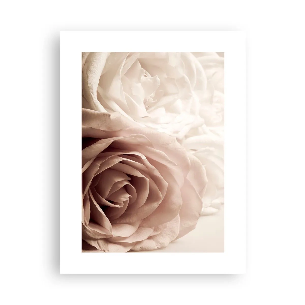 Poster - Im Herzen der Rose - 30x40 cm