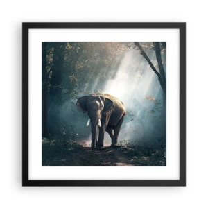 Poster in einem schwarzem Rahmen - Ein gemütlicher Spaziergang - 40x40 cm