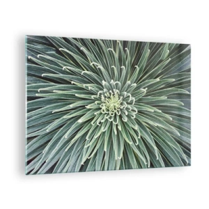 Glasbild - Bild auf glas - Symmetrische Rosette aus grünen Blättern in der Makrofotografie - 70x50cm - Ein Star ist geboren - Moderne Wanddekoration für Wohnzimmer und Schlafzimmer ARTTOR
