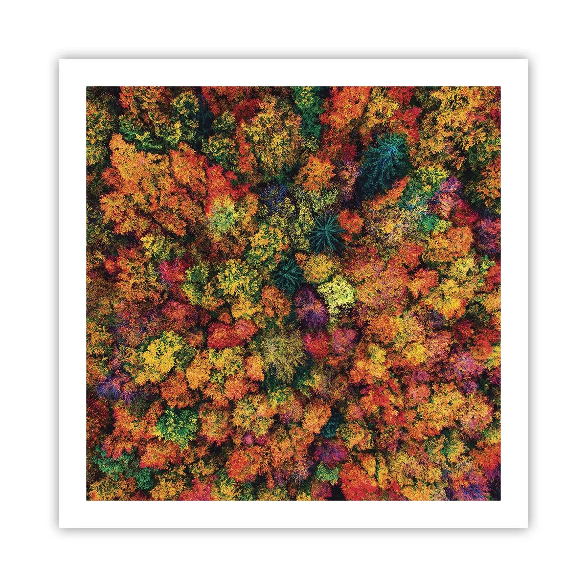 Poster - Blumenstrauß aus Herbstbäumen - 60x60 cm