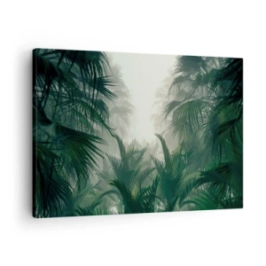 Bild auf Leinwand - Leinwandbild - Tropische Vegetation im dichten Regenwaldnebel - 70x50cm - Tropisches Geheimnis - Moderne Wanddekoration für Wohnzimmer und Schlafzimmer ARTTOR