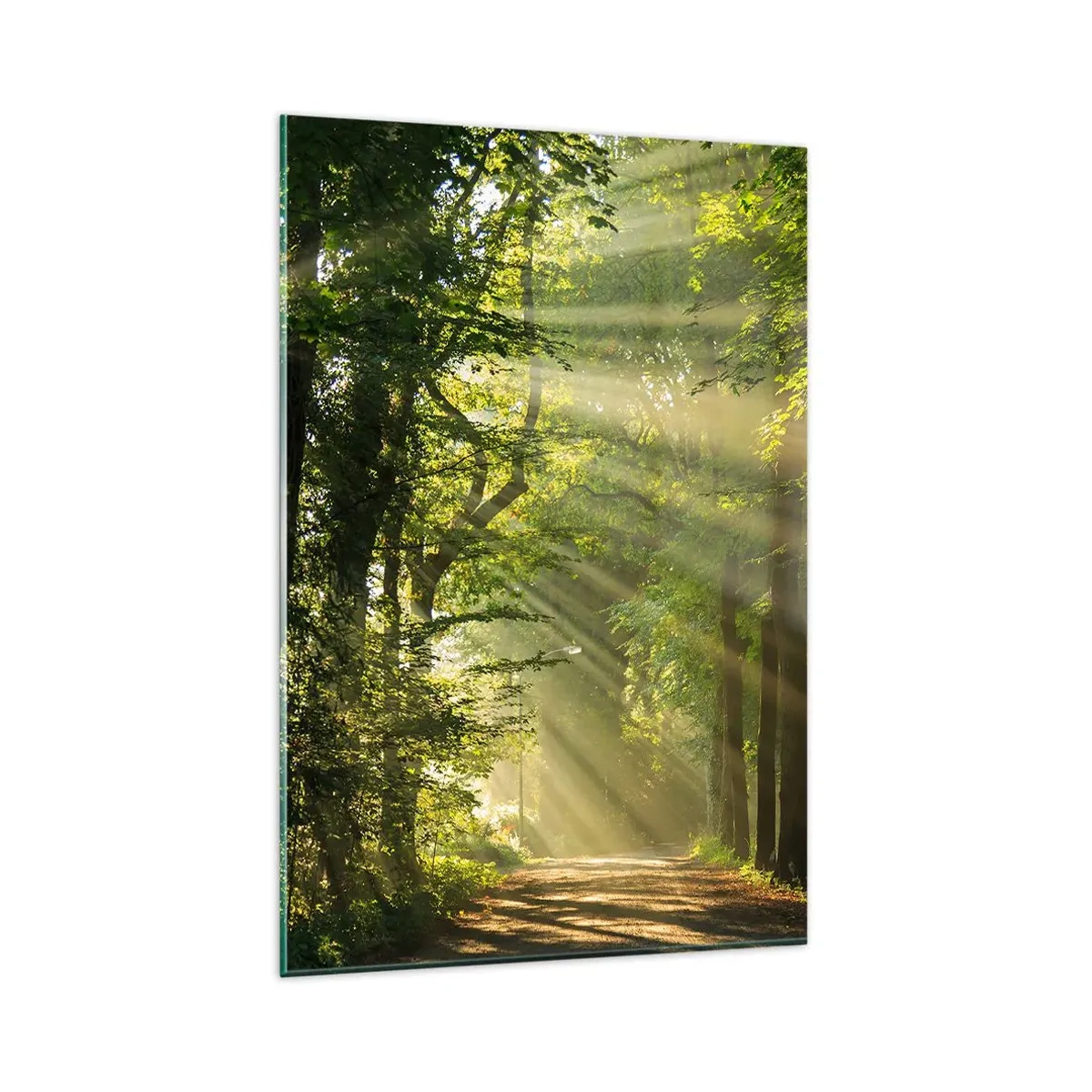 Glasbild - Bild auf glas - Waldweg mit Sonnenstrahlen, die durch die Bäume scheinen - 80x120cm - Waldmoment - Moderne Wanddekoration für Wohnzimmer und Schlafzimmer ARTTOR