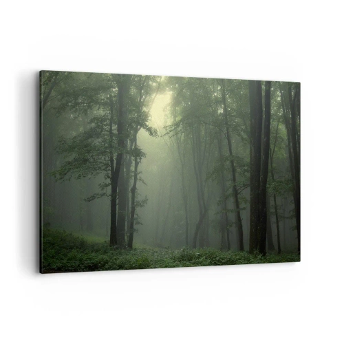 Bild auf Leinwand - Leinwandbild - Ein grüner Wald am Morgen, eingehüllt in einen zarten Nebel - 120x80cm - Bevor er aufwacht - Moderne Wanddekoration für Wohnzimmer und Schlafzimmer ARTTOR