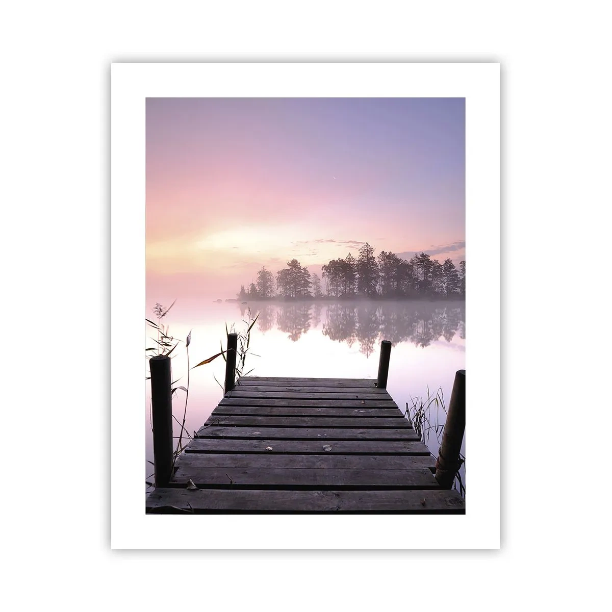 Poster - Aus dem lila Nebel ... - 40x50 cm