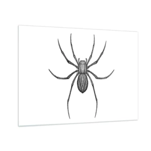 Glasbild - Bild auf glas - Retro-Stil Illustration einer schwarzen Spinne auf weißem Hintergrund - 70x50cm - Beunruhigende Präzision - Moderne Wanddekoration für Wohnzimmer und Schlafzimmer ARTTOR