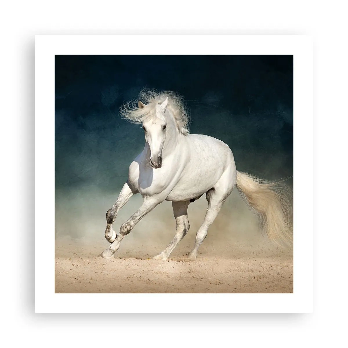 Poster - Freiheit in ihrem reinen Zustand - 50x50 cm