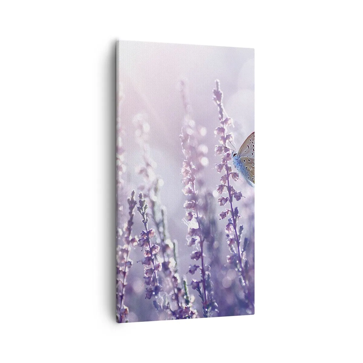 Bild auf Leinwand - Leinwandbild - Schmetterlingskuss - 55x100 cm