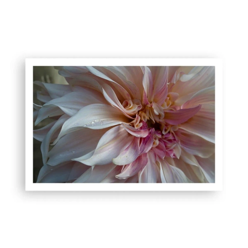 Poster - Blühende Frische - 91x61 cm