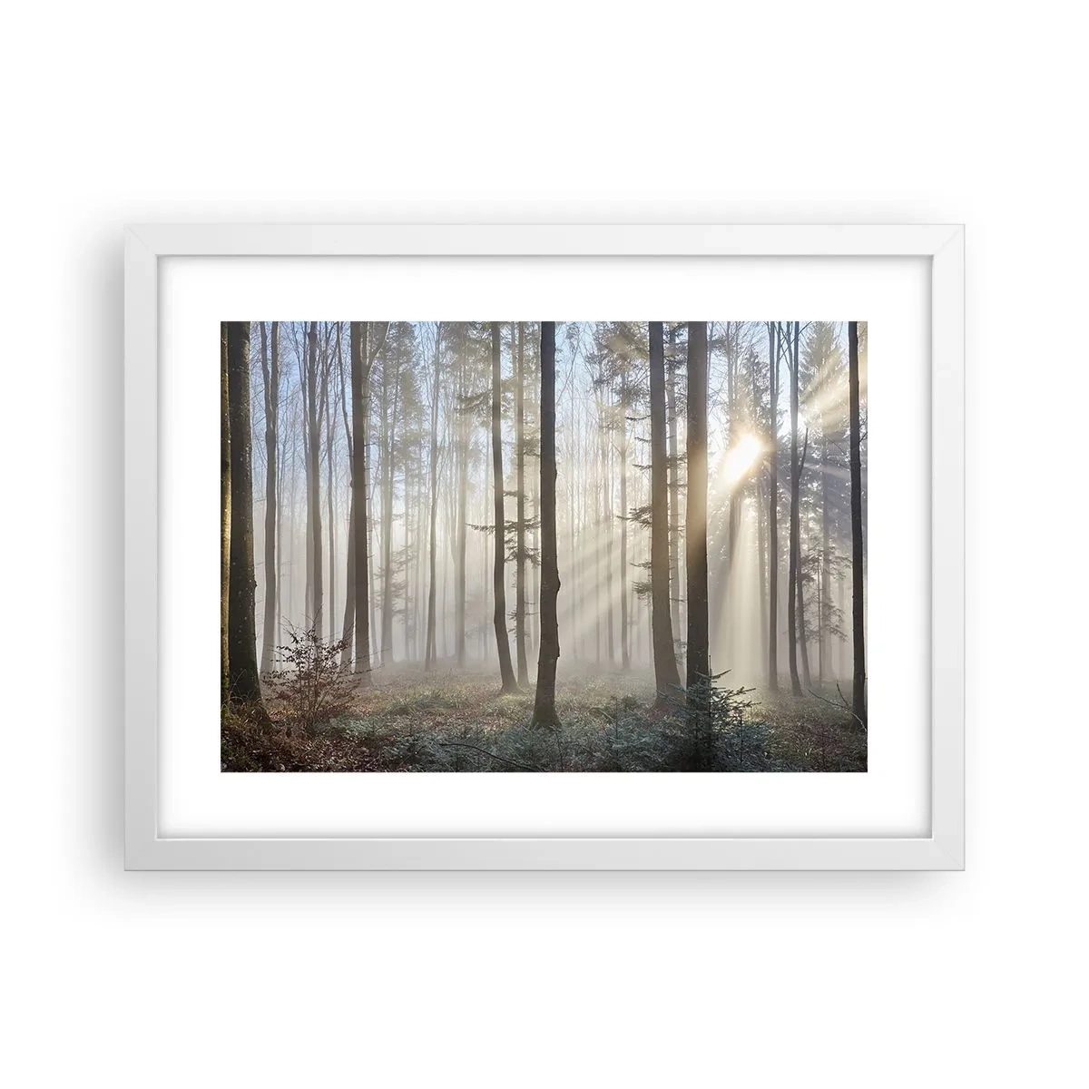 Poster in einem weißen Rahmen - Der Nebel ist auch aufgewacht - 40x30 cm