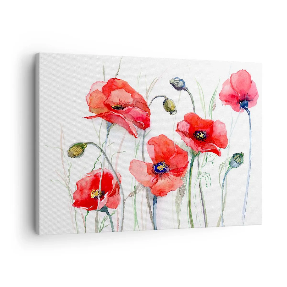Bild auf Leinwand - Leinwandbild - Aquarell-Mohnblumen auf zartem Hintergrund - 70x50cm - Polnische Blumen - Moderne Wanddekoration für Wohnzimmer und Schlafzimmer ARTTOR