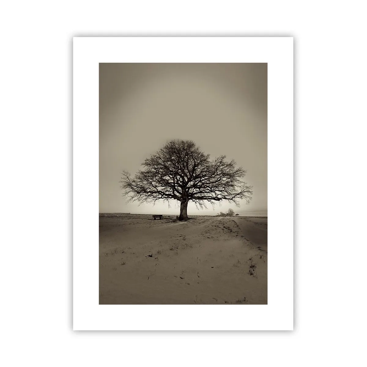 Poster - Von hier zu Ewigkeit - 30x40 cm