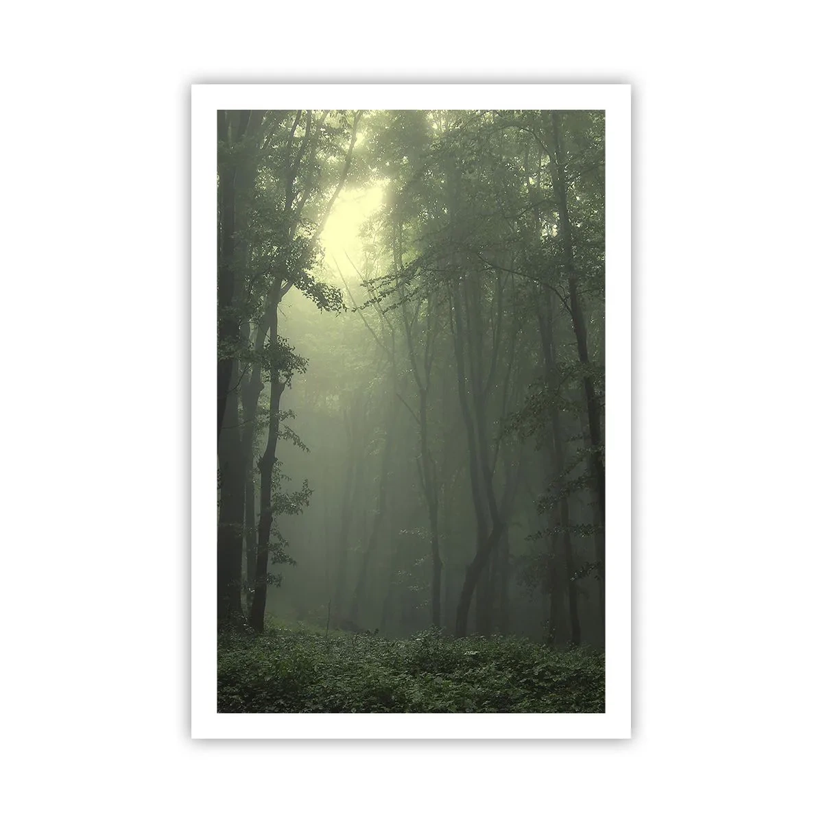 Poster - Bevor er aufwacht - 61x91 cm