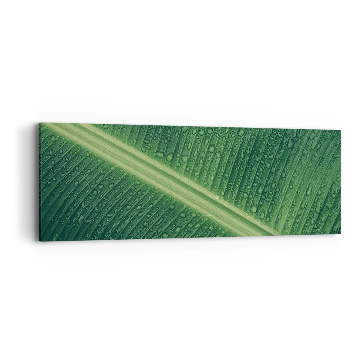 Bild auf Leinwand - Leinwandbild - Die Struktur des Grüns - 90x30 cm