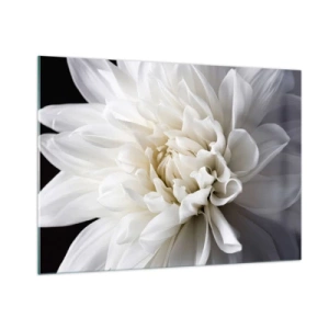 Glasbild - Bild auf glas - Eine Nahaufnahme einer weißen Dahlie auf einem schwarz-grauen Hintergrund - 100x70cm - Der Morgen der Braut - Moderne Wanddekoration für Wohnzimmer und Schlafzimmer ARTTOR