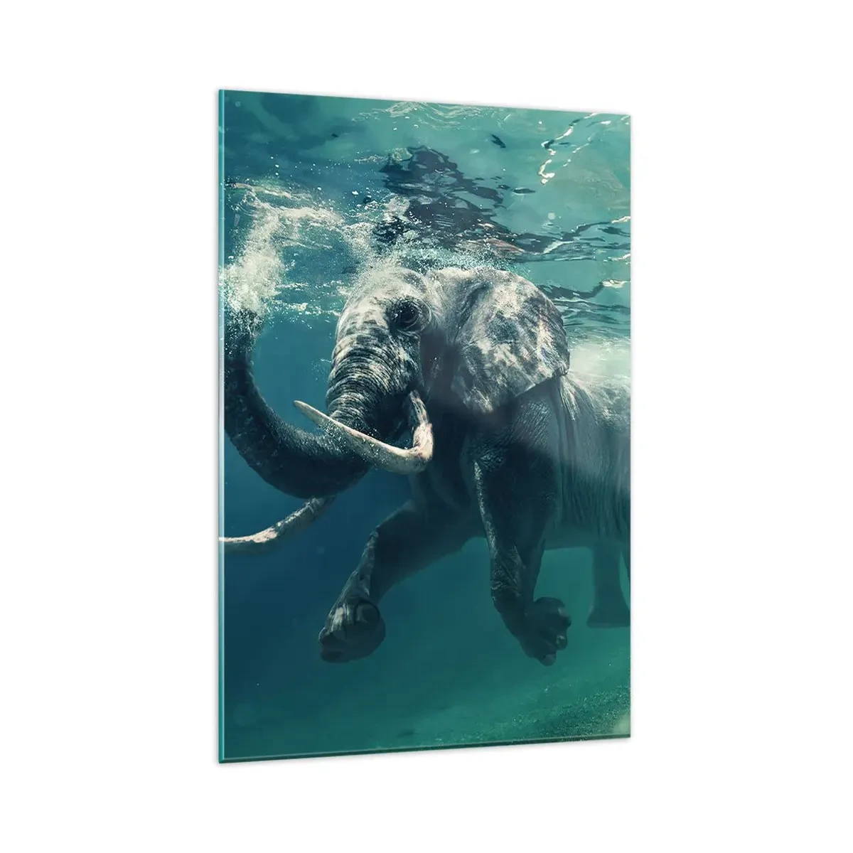 Glasbild - Bild auf glas - Ein Elefant schwimmt unter Wasser in den türkisfarbenen Tiefen - 80x120cm - Jeder schwimmt gerne - Moderne Wanddekoration für Wohnzimmer und Schlafzimmer ARTTOR