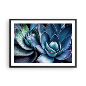 Poster in einem schwarzem Rahmen - Agave in Blau- und Grüntönen mit rosa Akzenten - 70x50cm - Lebenskraft - Moderne Wanddekoration für Wohnzimmer und Schlafzimmer ARTTOR