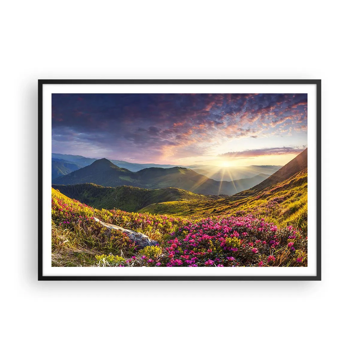 Poster in einem schwarzem Rahmen - Berglandschaft mit blühenden Rhododendren - 100x70cm - Frische am Bergmorgen - Moderne Wanddekoration für Wohnzimmer und Schlafzimmer ARTTOR