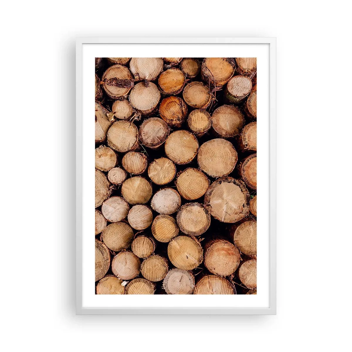 Poster in einem weißen Rahmen - Ein neuer Anfang - 50x70 cm