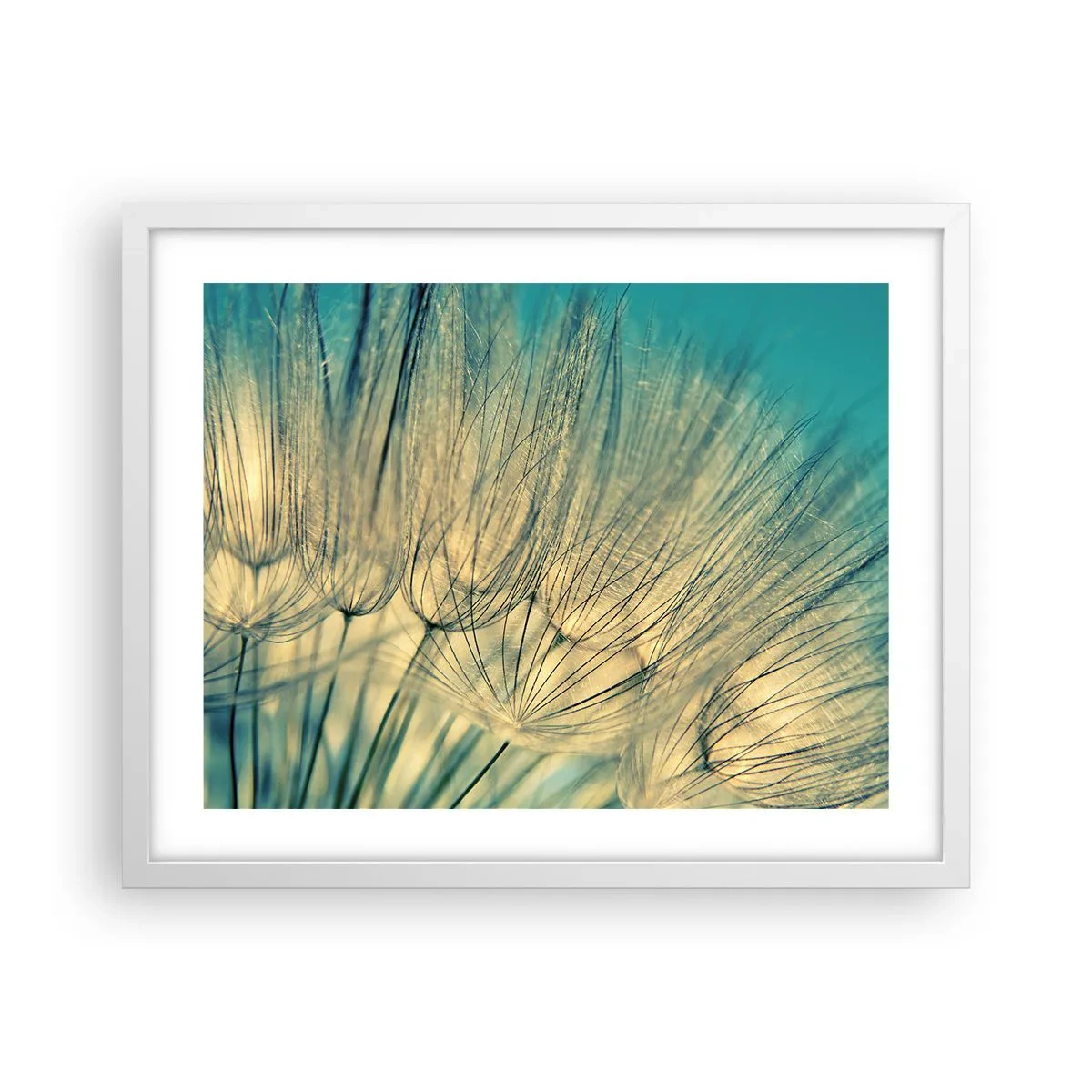 Poster in einem weißen Rahmen - In Erwartung des Windes - 50x40 cm