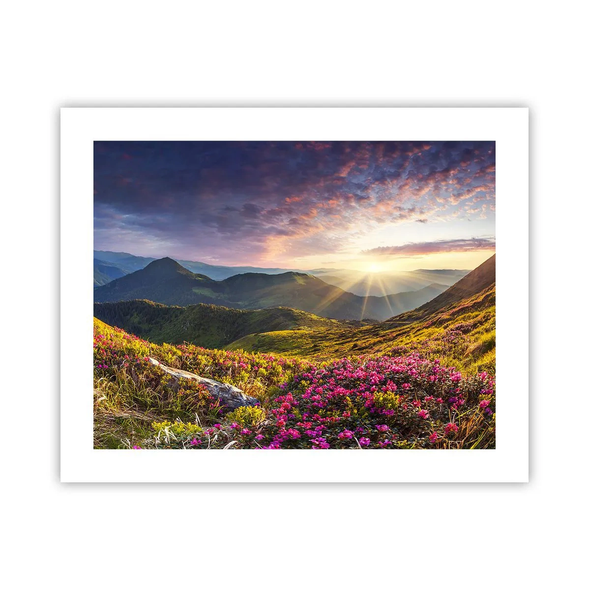 Poster - Frische am Bergmorgen - 50x40 cm