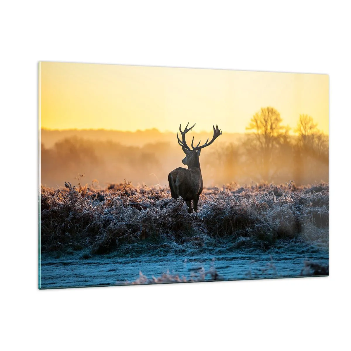 Glasbild - Bild auf glas - Hirsch an einem frostigen Morgen mit dem Sonnenaufgang im Hintergrund - 120x80cm - Gekrönt auf seinem Besitz - Moderne Wanddekoration für Wohnzimmer und Schlafzimmer ARTTOR