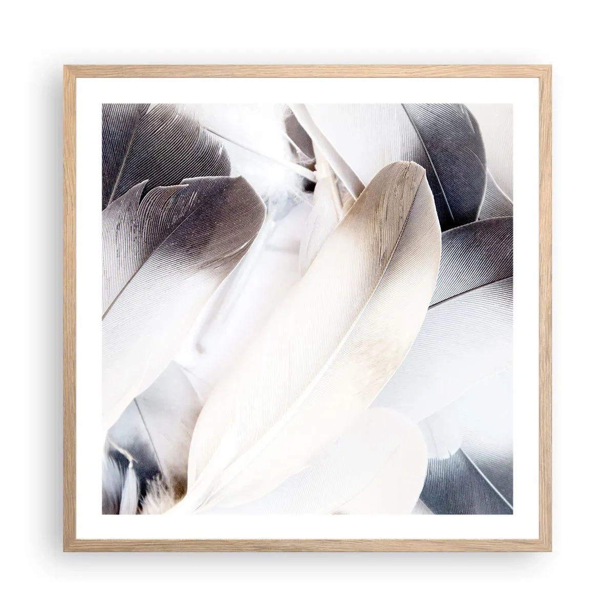 Poster in einem Rahmen aus heller Eiche - Fast engelhaft - 60x60 cm